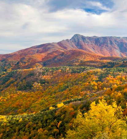 montseny